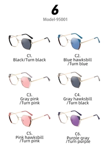 Detailed grid of six chic cat-eye frame colors featuring photochromic light-changing lenses