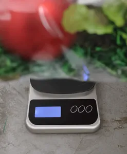 Weight measurement detail showing a 481g red Christmas ornament ball on a digital scale