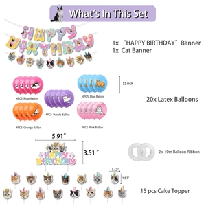 Cat theme birthday party set with banners, balloons and cake toppers on white background