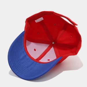 Detail view of the six-panel interior stitching and 100% polyester label on baseball cap
