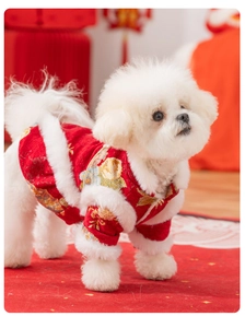 Détail d'un costume Tang rouge pour chien avec motifs dorés et bordure en fausse fourrure