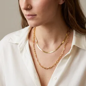 Minimalist Stainless Steel Double Layered Necklace Gold Silver Snake Chain Paperclip Link Layered Jewelry For Women