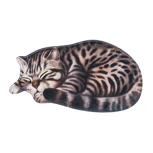 Tappetino da bagno antiscivolo 3D a forma di gatto tigrato realistico per decorazione casa