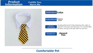 Detailed specs for pet white fake collar with yellow and black striped tie accessory
