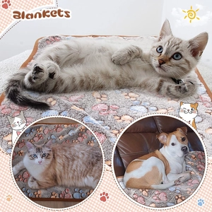 Detail of soft fleece pet blanket featuring colorful paw prints on gray flannel fabric