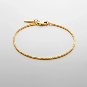 Elegant 18k gold-plated stainless steel snake chain bracelet with adjustable lobster clasp