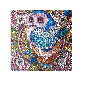 DIY 5D diamond painting featuring a vibrant multi-colored owl with sparkling resin rhinestones