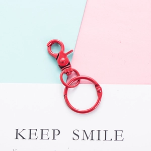 Detail of red painted metal lobster clasp and key ring on a minimalist background