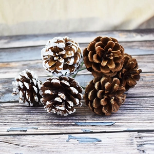 Natural pine cone bundles with artificial snow effect on vintage wood background
