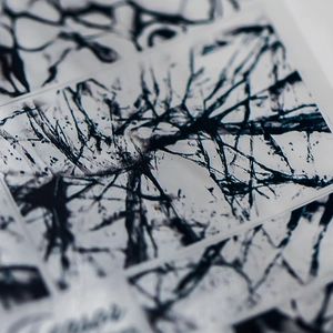 Japanese style ultra-thin nail stickers with black abstract nature crack and branch patterns
