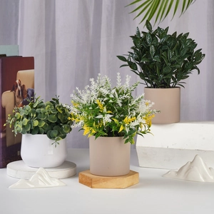 Three artificial potted green plants on a wooden base with minimalist indoor decor