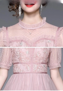 Détails de manches bouffantes en dentelle rose et col montant sur robe en tulle