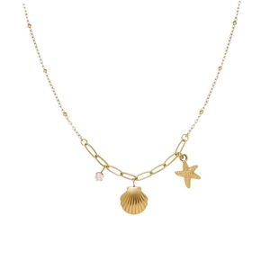 Collier en acier titane doré avec pendentif coquillage et étoile de mer sur blanc