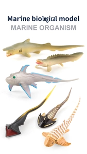 Detailed set of six realistic prehistoric marine life and shark animal model toys