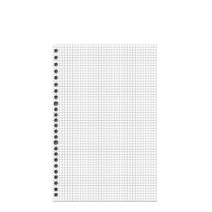 30-hole loose leaf refill paper with grey grid pattern on thick double-sided sheets