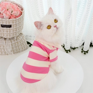 Close-up of pink and cream striped cotton polo shirt for pets with lapel collar detail
