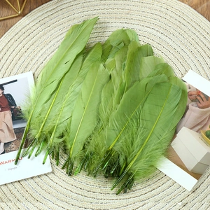 Detailed close-up of natural green goose feathers for DIY wedding decor and dream catchers