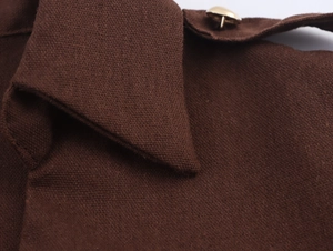 Detailed close-up of dark brown cotton-linen dress with lapel collar and gold button