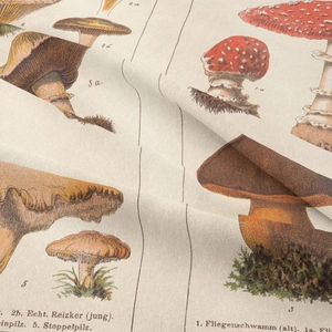 Detailed close-up of woven fabric texture with vintage mushroom scientific illustrations