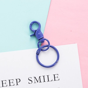 Detail of purple matte lobster clasp and metal key ring on a colorful background
