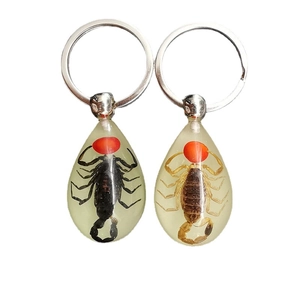 Dual pack resin teardrop keychains featuring real black and brown scorpion specimens