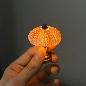 Macro shot of a hand holding a mini sea urchin shell night light with glowing warm light