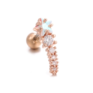 Vue détaillée du clou d'oreille en or rose avec zircon étoilé et fermoir à vis