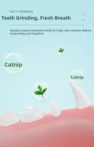 3D visualization of catnip cleaning residue between cat teeth for oral hygiene