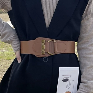 Chic brown wide elastic waist belt for women with vintage brass metal buckle on a dress