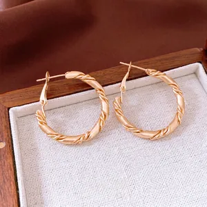 Twisted Rope Hoop Earrings For Women Fashion Elegant Textured Iron Jewelry With 925 Sterling Silver Earring Post