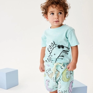 Boys Cotton T-Shirt And Shorts Outfit Set Cartoon Dinosaur Cool Print Summer Casual Short Sleeve Soft Kids Clothes