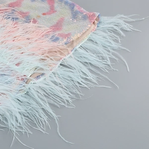 Detail of colorful sequins and soft ostrich feather trim on a sexy party dress