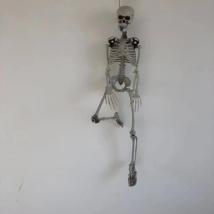 Detailed view of a life-size gray plastic skeleton with movable joints hanging on a wall