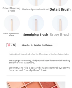 Close-up of 6 professional eye makeup brushes showing bristle texture and soft fibers