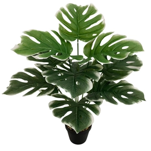 Detailed view of artificial Monstera plant with white edged leaves in a black pot