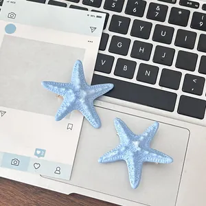 Detail of light blue starfish hair clips with realistic texture on a white card