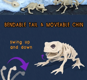 Detail of frog skeleton toy with bendable tail and movable chin for Halloween decor