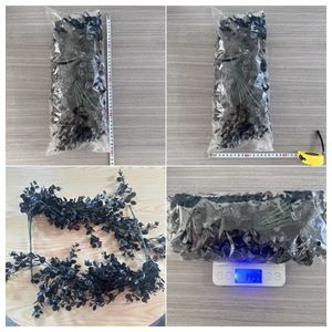Detailed view of black Halloween hanging vine packaging with weight and dimensions
