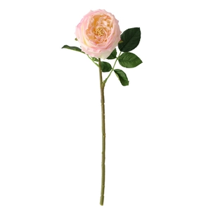 Pink Austin artificial rose with realistic moist texture and green leaves on white background