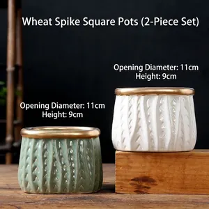 Set of two ceramic succulent pots with textured wheat pattern and elegant gold rim details