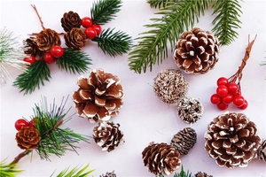 Detailed Christmas pine cones with red berries and snow-dusted pine needles decoration