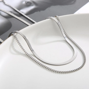 Close-up of double-layered silver snake chain and link necklace on white plate
