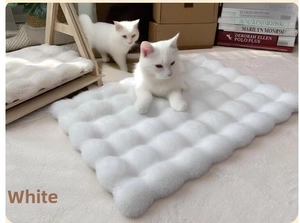 Detail of white plush pet mat with bubble texture and two kittens in home setting