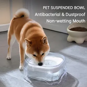 Modern transparent floating pet water bowl for dogs and cats with anti-splash design