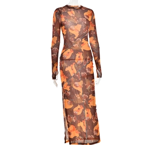 Détail du tissu en maille transparente avec imprimé floral sur une robe à manches longues