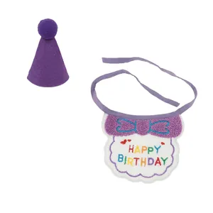 Macro detail of pet birthday set with purple felt hat and embroidered bib with Happy Birthday