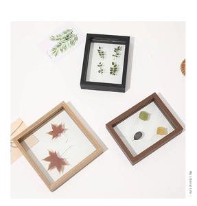 Detailed set of three wooden specimen frames with real dried leaves and clear glass