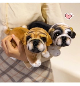 Close-up of model holding soft lifelike pug and bulldog plush toys for kids