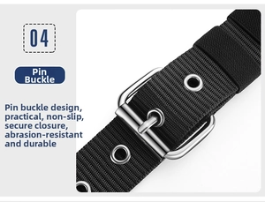 Detail of black canvas belt featuring silver metal pin buckle and durable metal eyelets