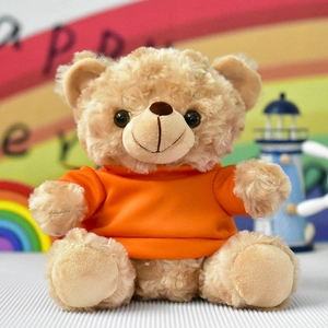 Detailed close-up of a soft teddy bear plush toy wearing a vibrant orange t-shirt